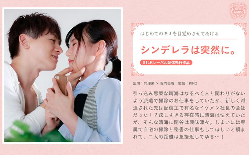 220SILKS-095 ซินเดอเรลล่าล่าหำอมมันยามค่ำคืน