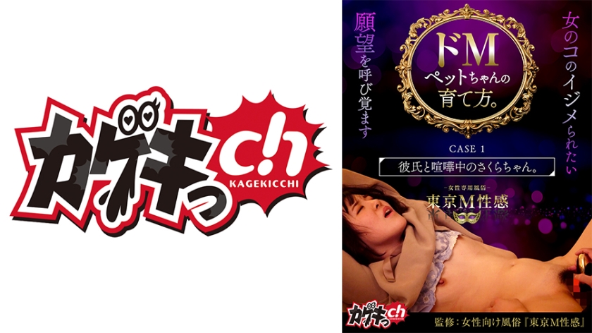 How to raise a masochistic pet. CASE 1 Sakura-chan, who is fighting with her boyfriend.