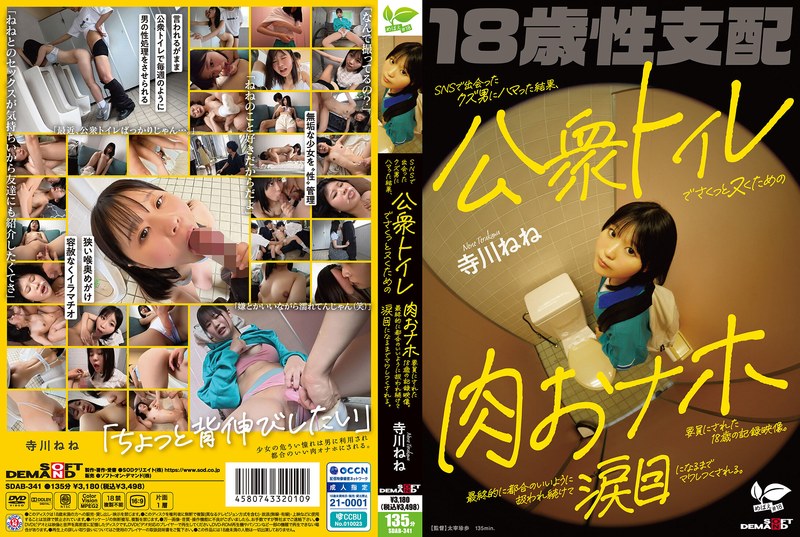 วิดีโอที่บันทึกเหตุการณ์ของหญิงสาวอายุ 18 ปี ที่ตกหลุมรักชายเลวที่เธอรู้จักผ่านโซเชียลมีเดีย และถูกใช้เป็นของเล่นทางเพศในห้องน้ำสาธารณะ เธอถูกใช้และถูกทำร้ายจนร้องไห้ (เทราคาวะ เนเนะ)