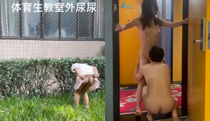 one way to train a female dog to feel shame is to continually challenge her by exposing herself outdoors.