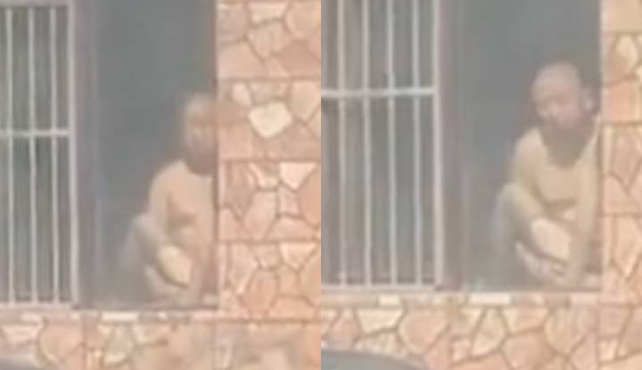 china's jilin baishan wanli pigeon burning live pornographic video leaked