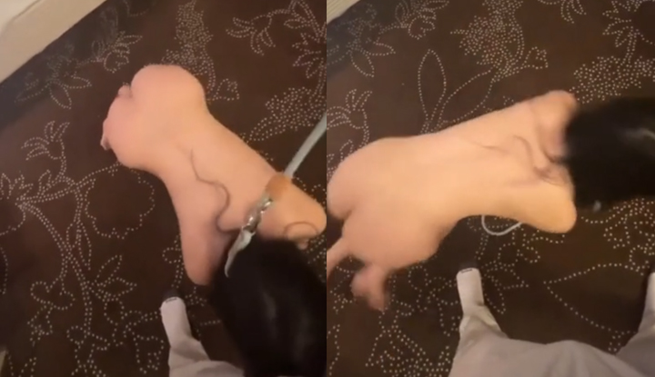 การแข่งขันรายวัน [การแข่งขันภารกิจเจ้านาย] ยินดีต้อนรับชาวเน็ตทุกท่านมาร่วมรีวิวและส่งผลงาน 1