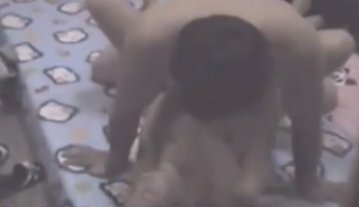 偷拍隔壁室友做愛