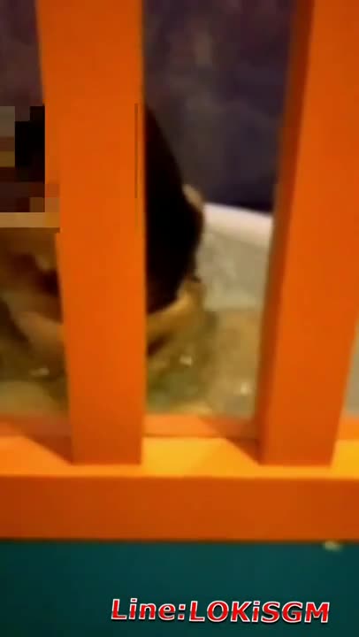 (ไทย) คลิปโป๊ชอบกฺจัดประหยัดทำไม ถุงยางอะ