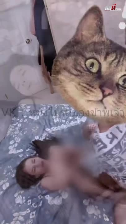 Hot clip of Nong Som leaked on Twitter, including the hottest moves of a girl with big tits and a fuckable body.