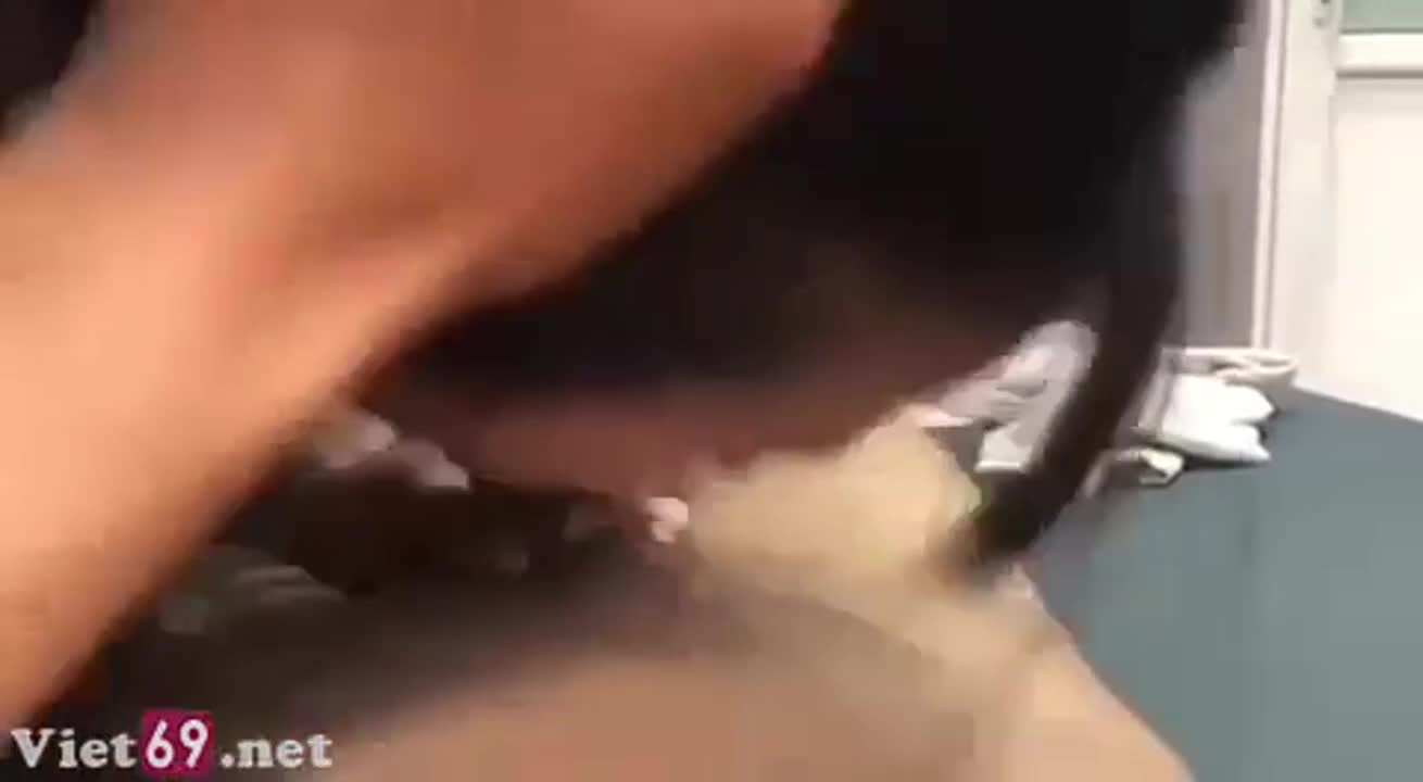 The story of my passionate blowjob experience