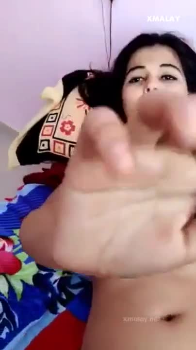 Hide My Cat